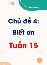 Chủ đề 4 Biết ơn  Tuần 15